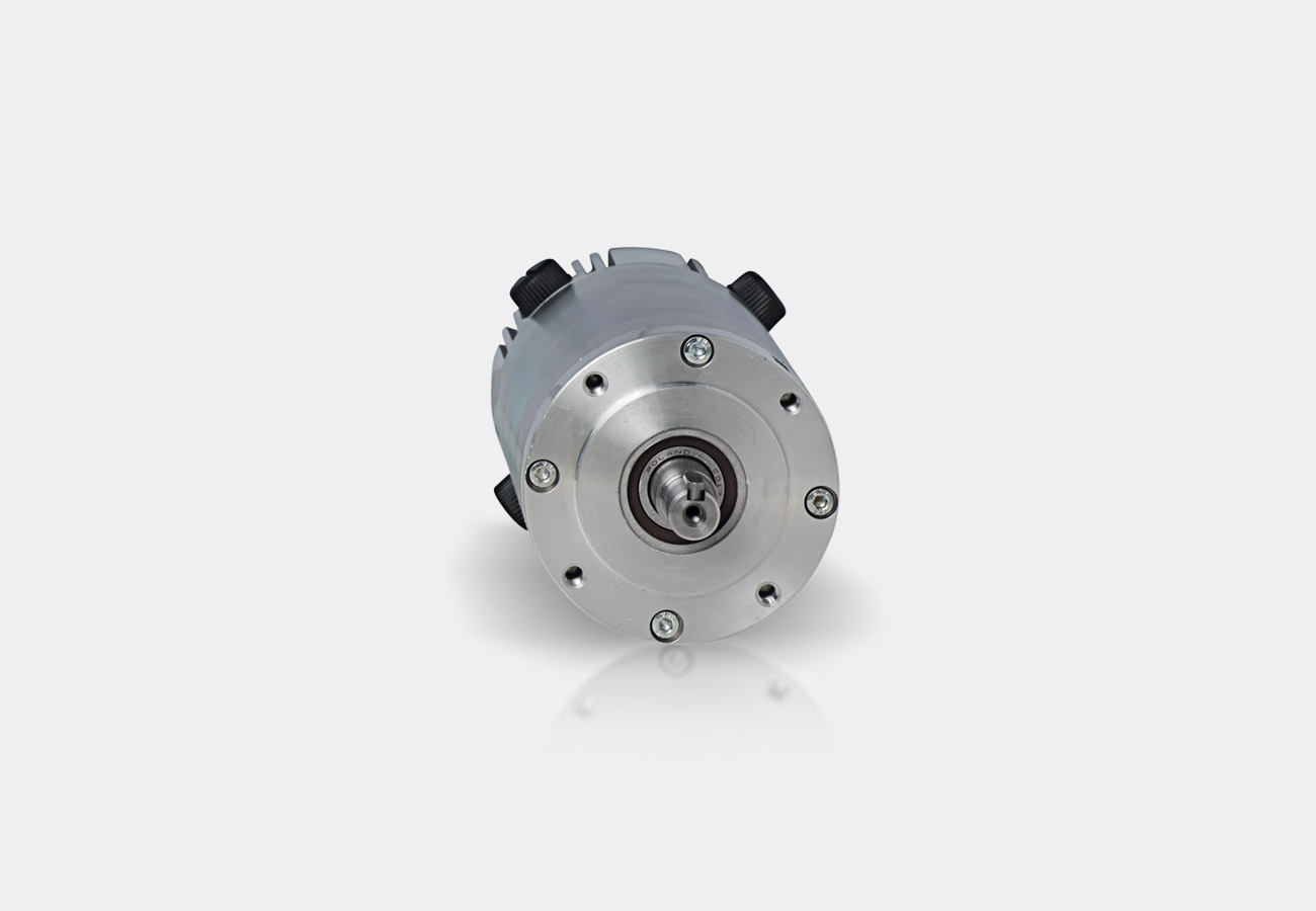 Raw DC Rare Earth Permanent Motors